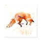 Lucas leaping fox Fine Art Print