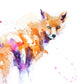 JEN BUCKLEY signed LIMITED EDITON PRINT 'Red Fox' - Jen Buckley Art limited edition animal art prints