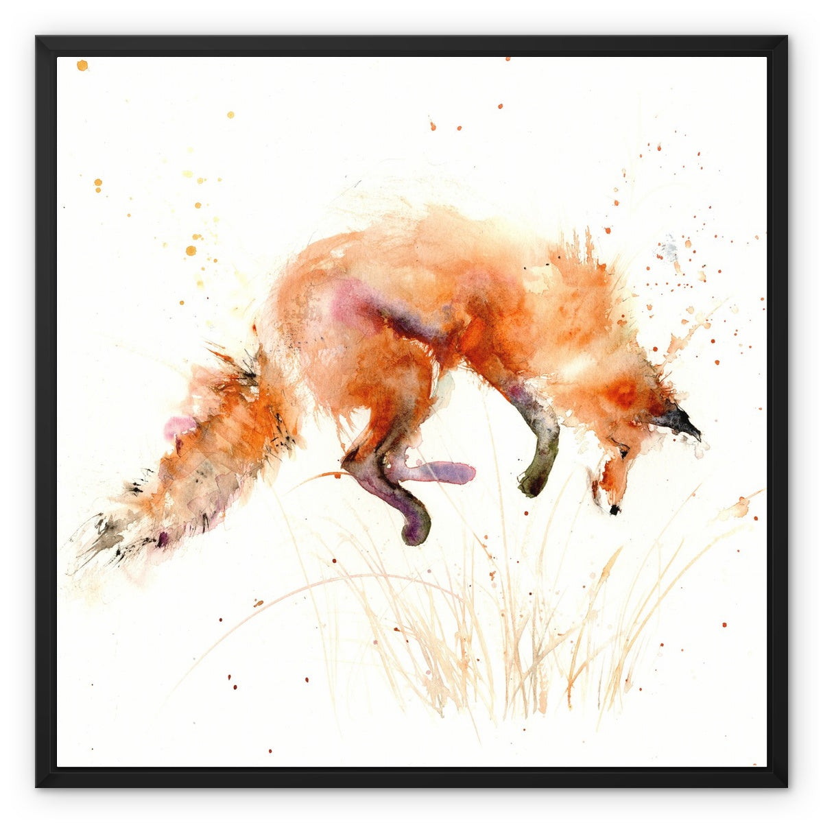 Leaping fox Framed Canvas - Jen Buckley Art limited edition animal art prints