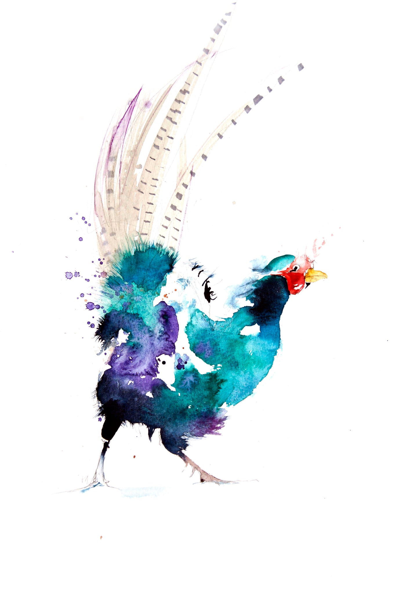 LIMITED EDITON PRINT of my original Pheasant watercolour - Jen Buckley Art limited edition animal art prints