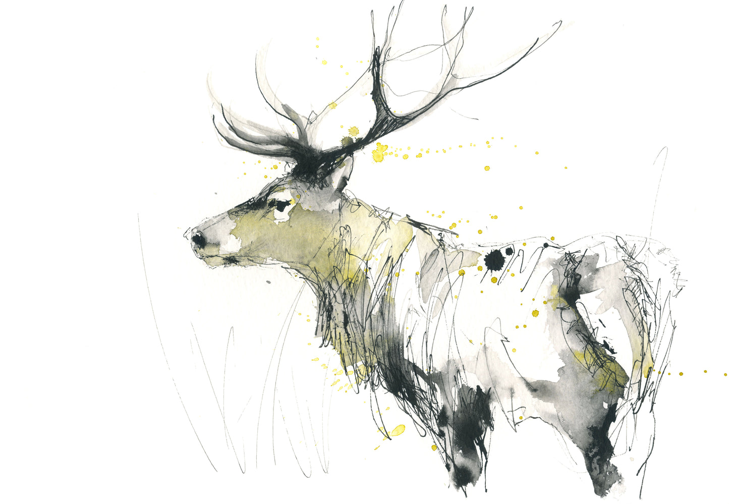 Red deer, stag print limited edition - Jen Buckley Art limited edition animal art prints