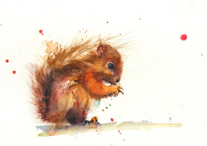 limited edition PRINT of my original RED SQUIRREL watercolour - Jen Buckley Art
