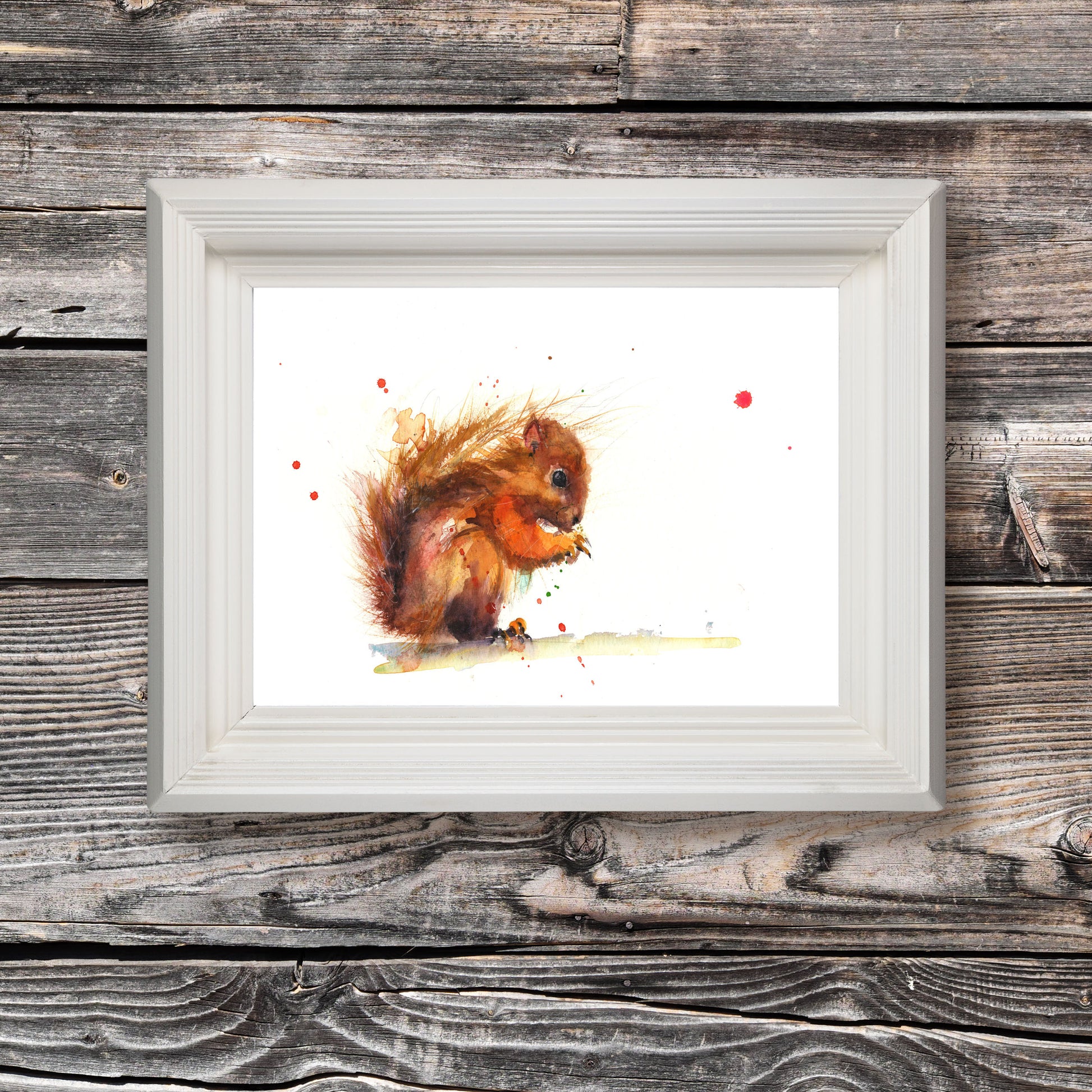 red squirrel art print by Jen Buckley