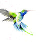 JEN BUCKLEY ART  signed PRINT of my original HUMMINGBIRD watercolour - Jen Buckley Art
