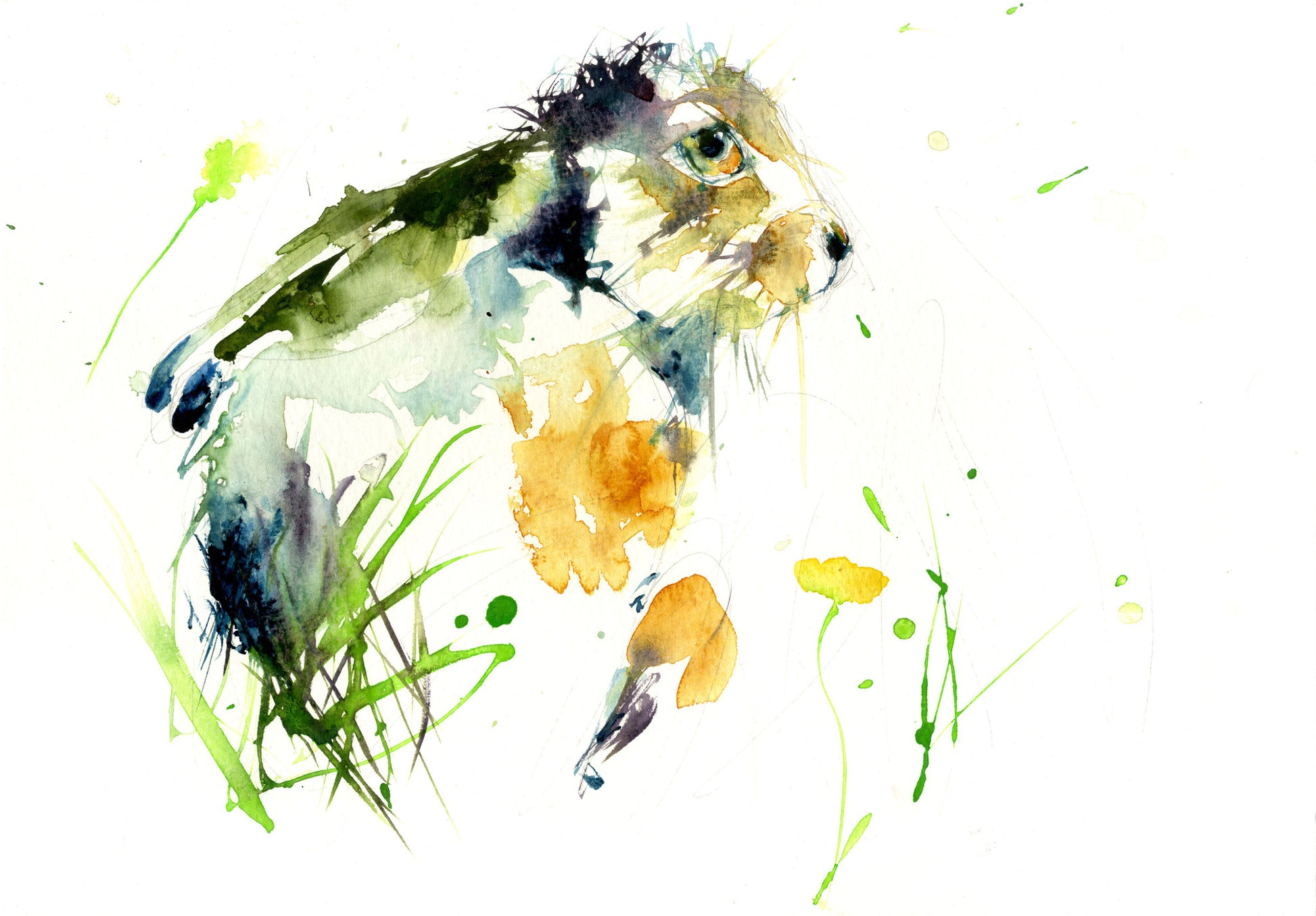 limited edition PRINT of my original HARE watercolour - Jen Buckley Art limited edition animal art prints