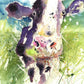 signed limited edition print - Dairy Cow - Jen Buckley Art limited edition animal art prints