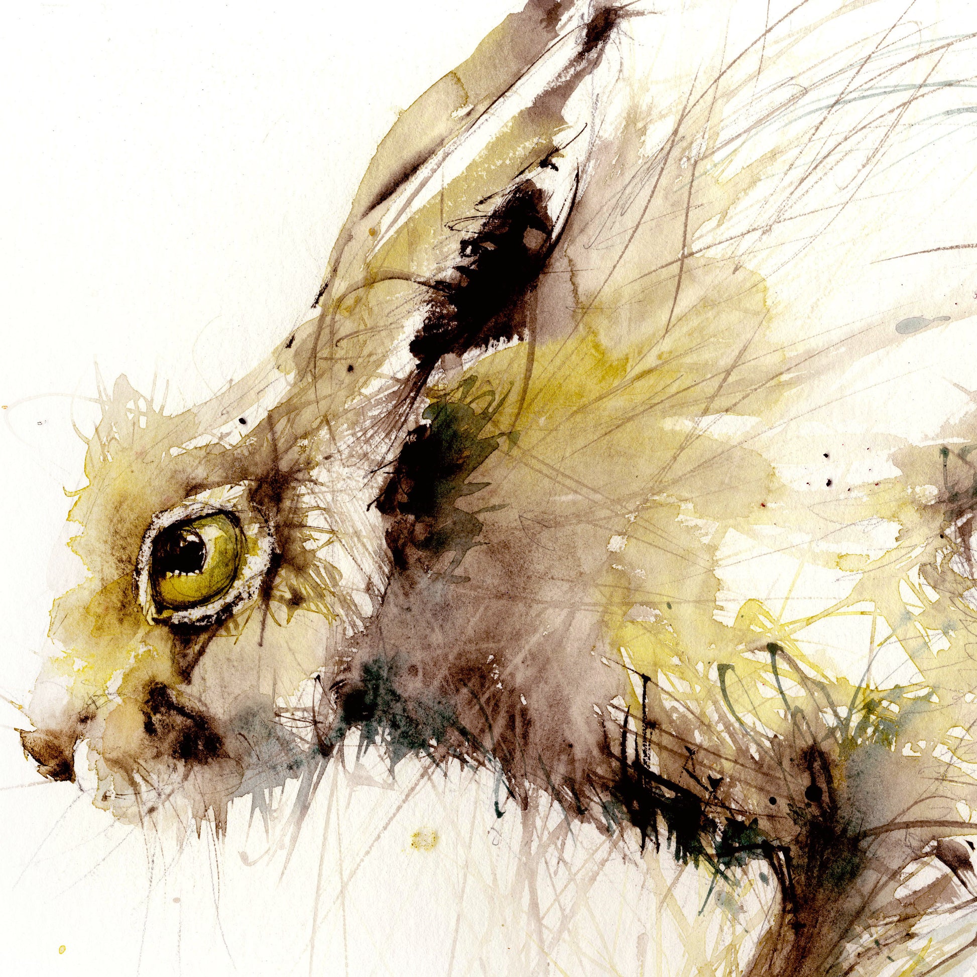 Limited edition hare print "Will" - Jen Buckley Art limited edition animal art prints