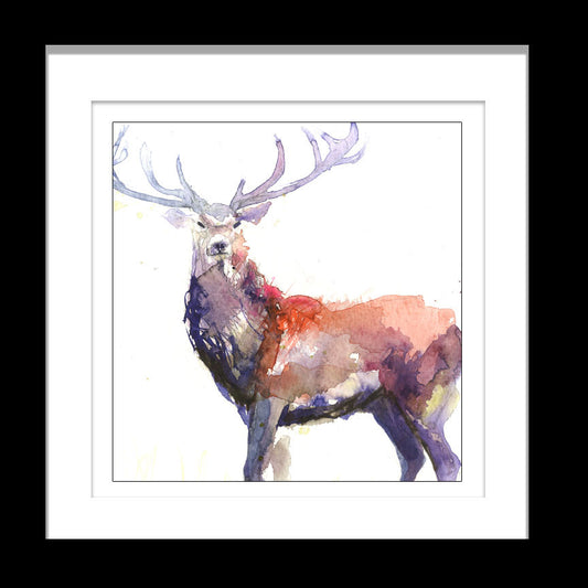 signed LIMITED EDITON PRINT 'Stag'   - Jen Buckley Art limited edition animal art prints