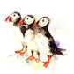 signed LIMITED EDITON PRINT of my original  PUFFINS - Jen Buckley Art limited edition animal art prints