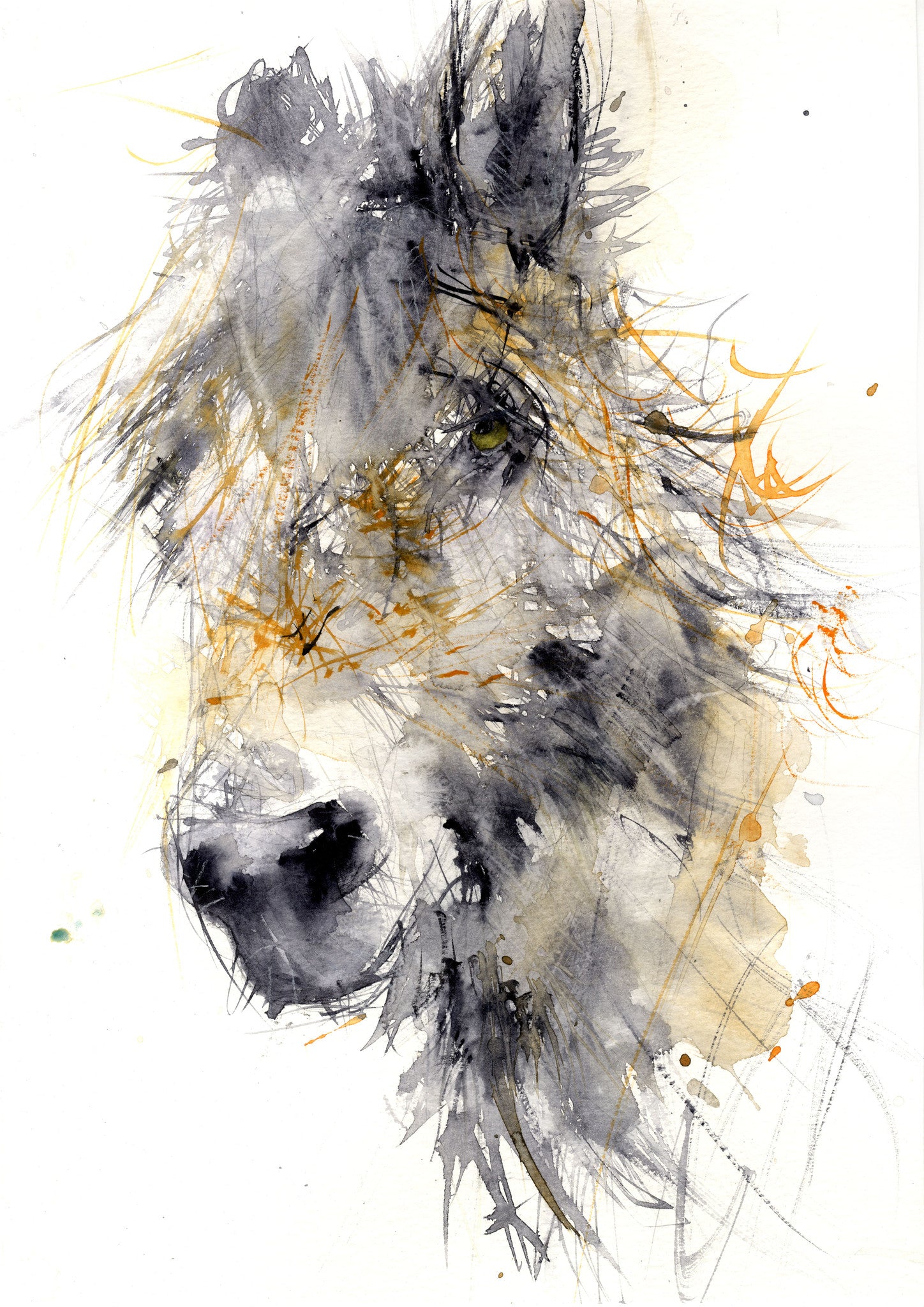 limited edition PRINT of my original DONKEY watercolour - Jen Buckley Art limited edition animal art prints