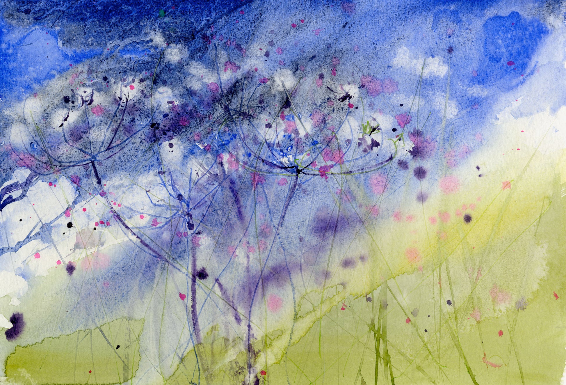Limited edition print "Cow parsley" - Jen Buckley Art limited edition animal art prints