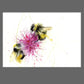 LIMITED EDITON PRINT of my original BUMBLE BEE on a pink Dahlia - Jen Buckley Art limited edition animal art prints