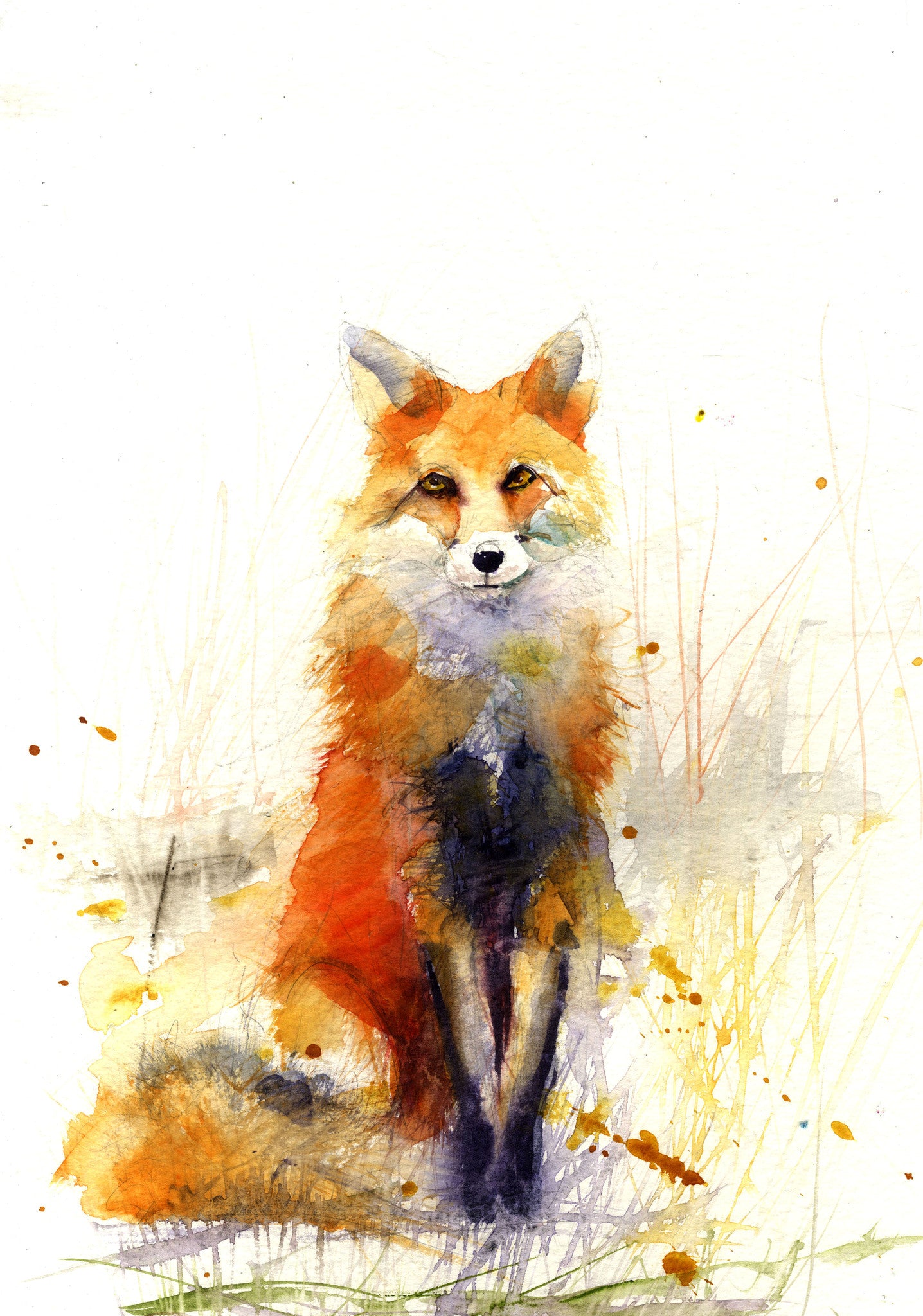 LIMITED EDITON PRINT of my original RED FOX - Jen Buckley Art limited edition animal art prints