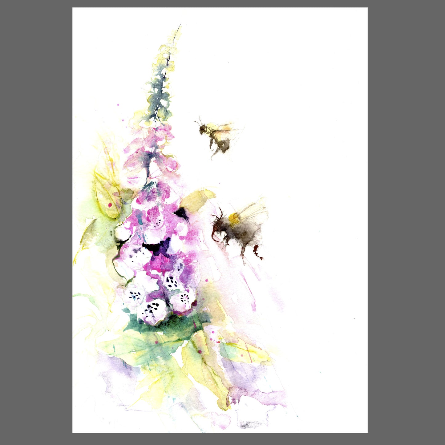 LIMITED EDITON PRINT of my original BUMBLE BEES on a foxglove - Jen Buckley Art limited edition animal art prints