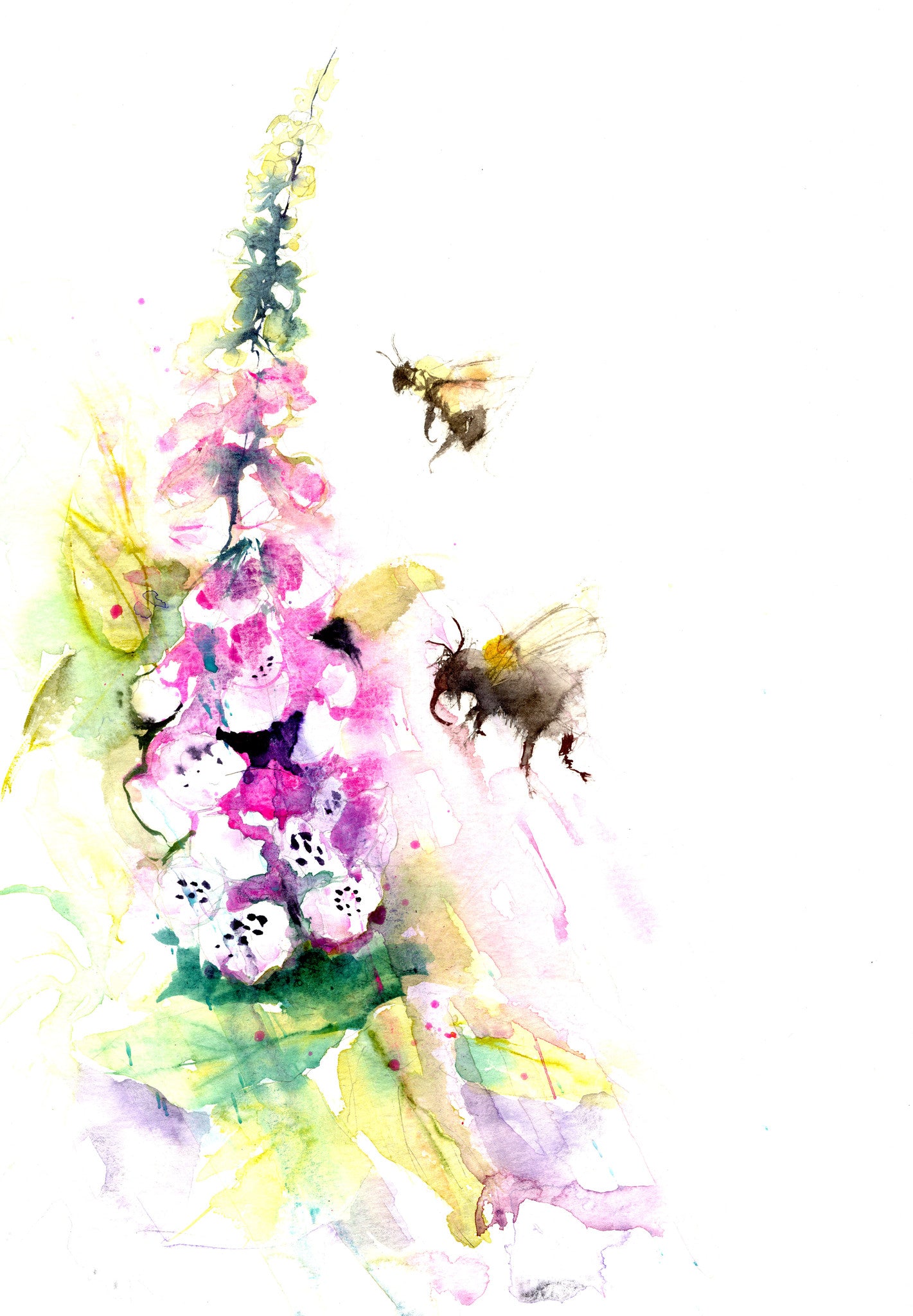 LIMITED EDITON PRINT of my original BUMBLE BEES on a foxglove - Jen Buckley Art limited edition animal art prints