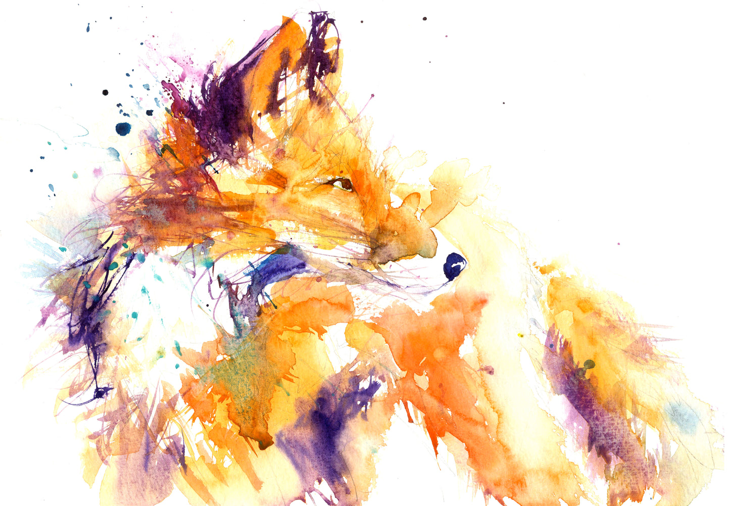 LIMITED EDITON PRINT 'Red Fox' - Jen Buckley Art limited edition animal art prints