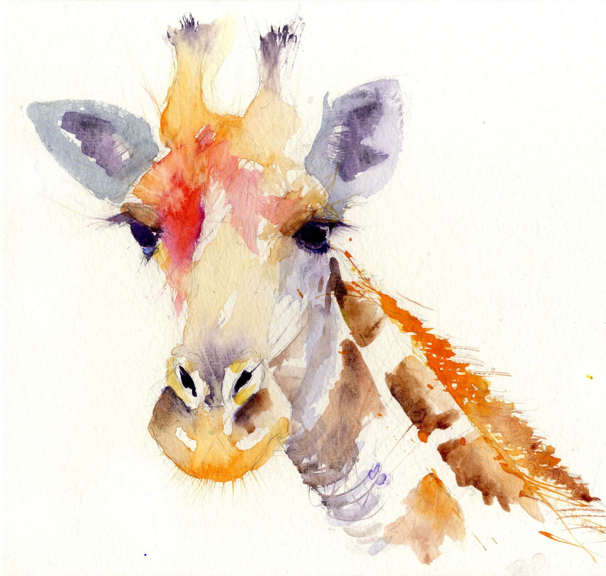 JEN BUCKLEY signed LIMITED EDITION PRINT  'Giraffe' - Jen Buckley Art
 - 1