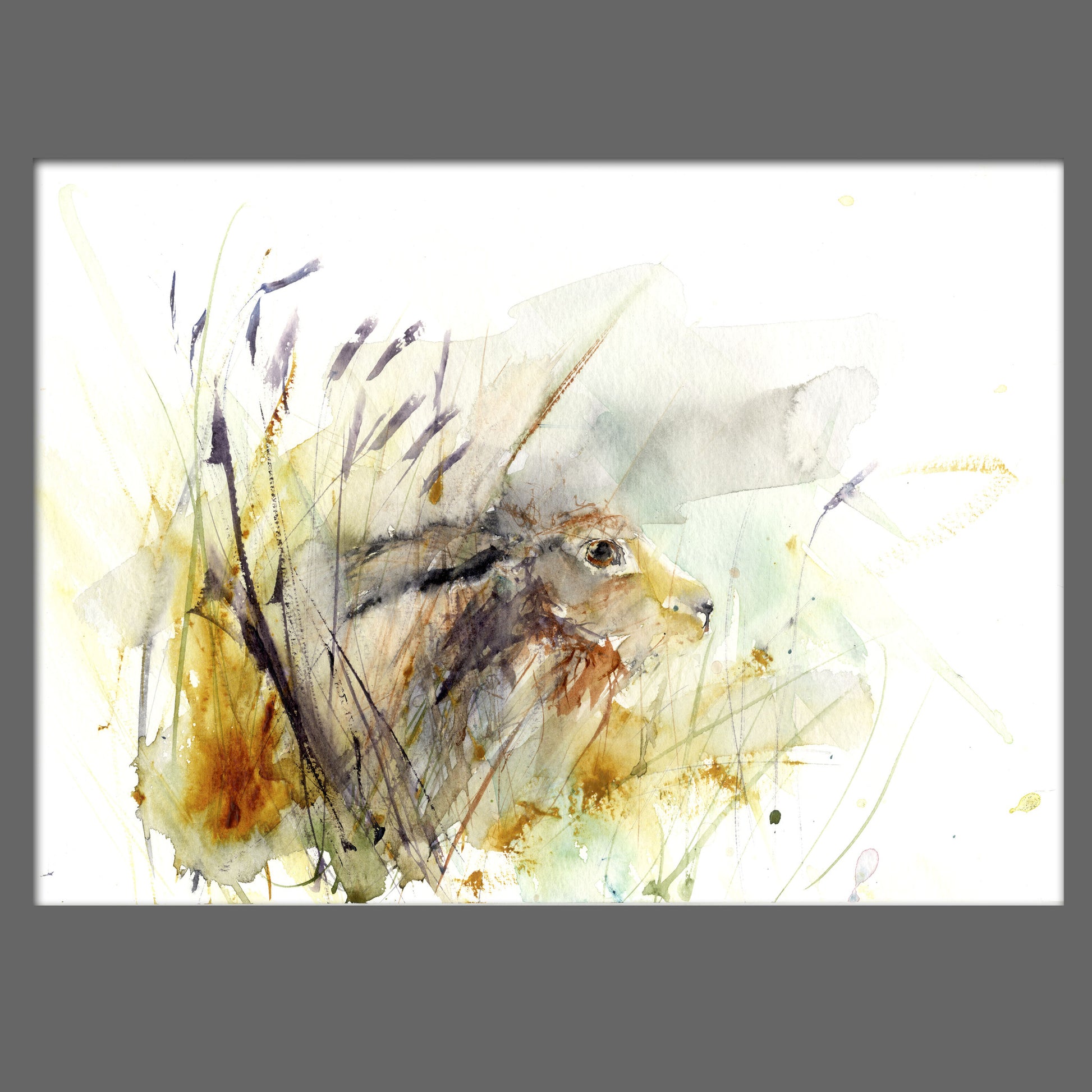 Limited edition print "hare in the meadow" - Jen Buckley Art limited edition animal art prints