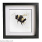 Signed print - Bumble bee - Jen Buckley Art limited edition animal art prints