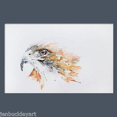 JEN BUCKLEY signed PRINT of my original HAWK watercolour painting - Jen Buckley Art limited edition animal art prints