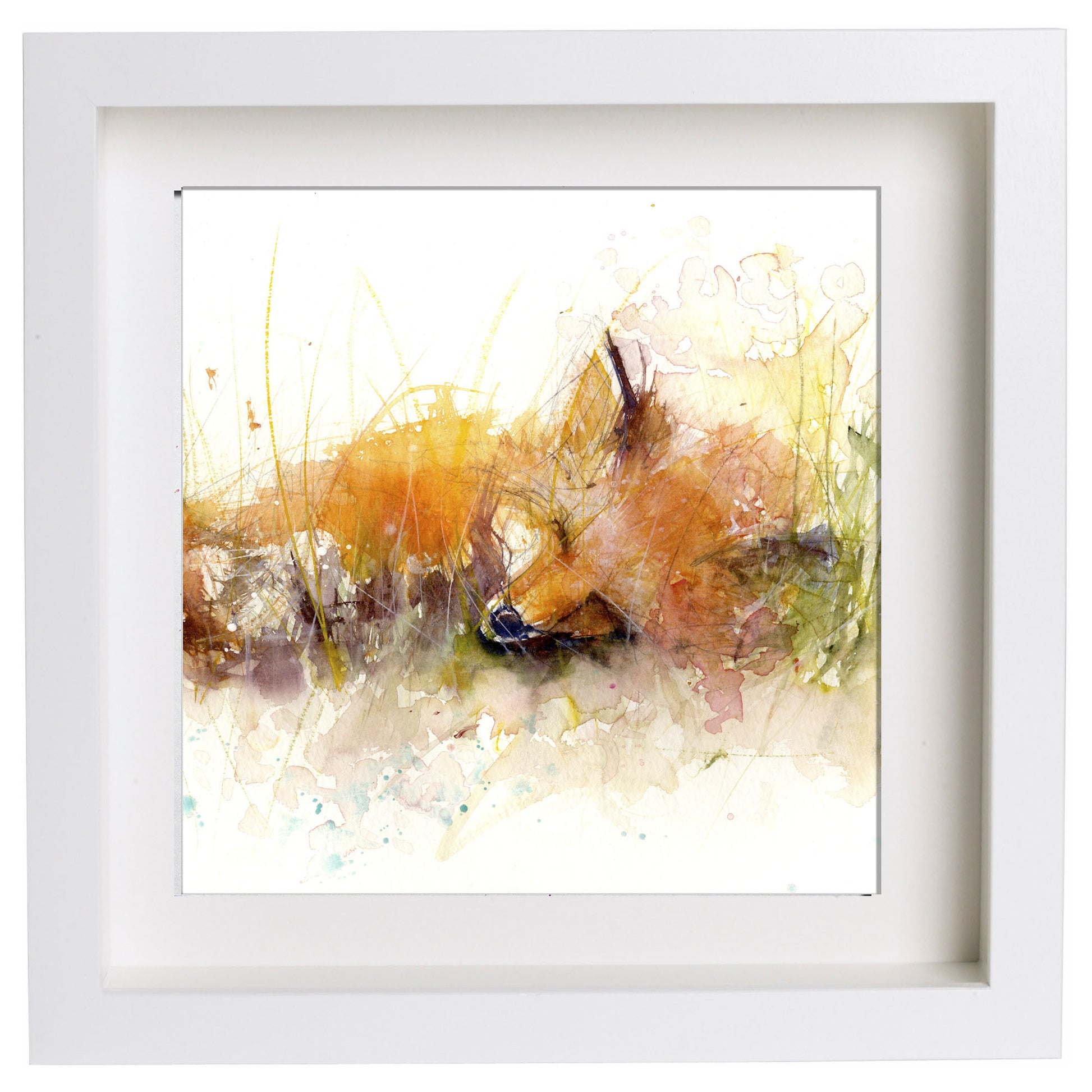 sleeping fox watercolour print limited edition