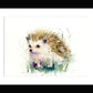 hedgehog. Jen Buckley limited edition