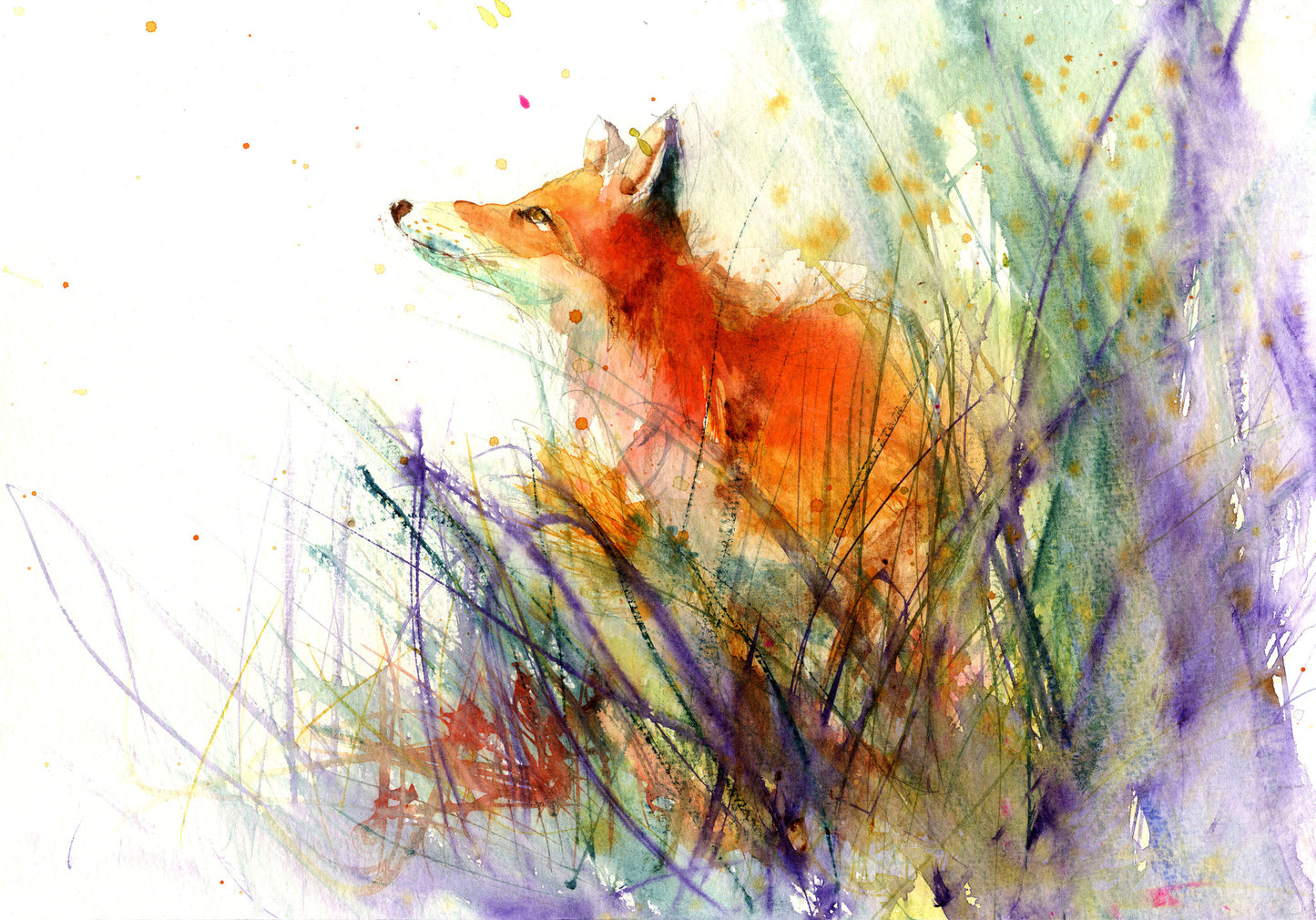 LIMITED EDITON PRINT 'red fox in the meadow' - Jen Buckley Art limited edition animal art prints