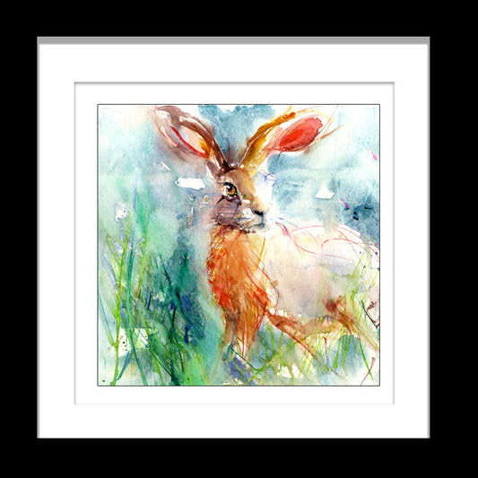 limited edition hare print from an original watercolour - Jen Buckley Art limited edition animal art prints