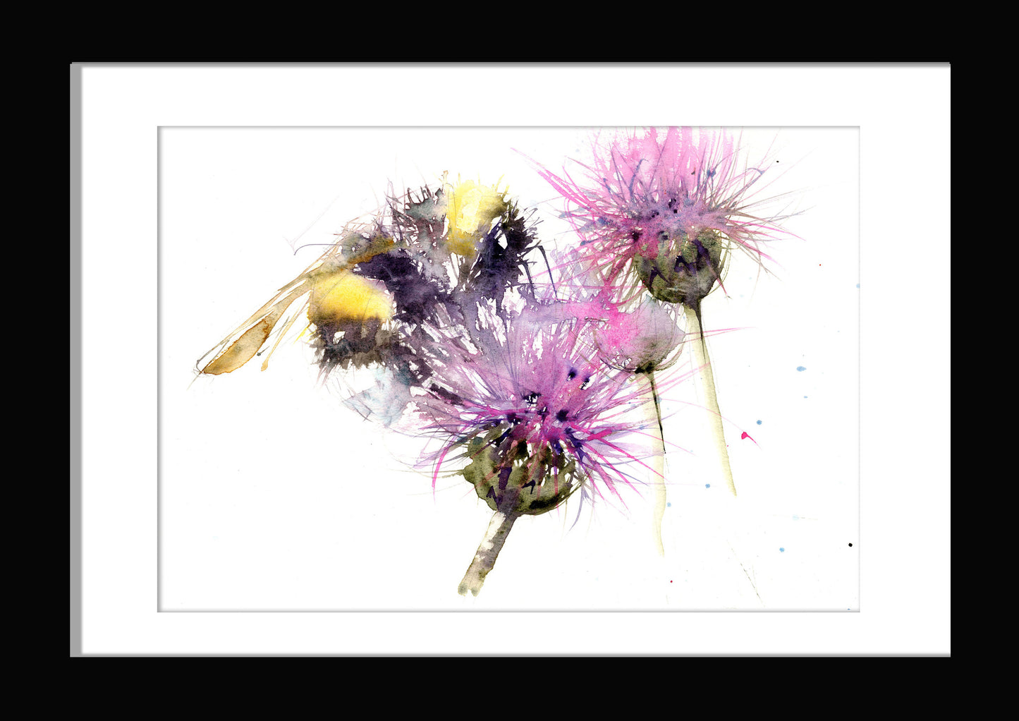 LIMITED EDITON PRINT of my original Bumble bee on a thistle - Jen Buckley Art limited edition animal art prints