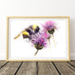 bee on a thistle watercolour print