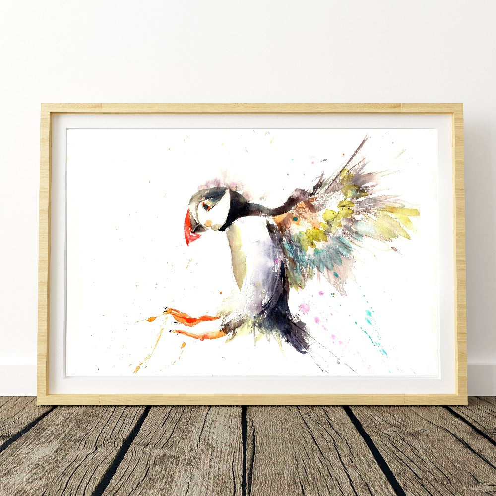 LIMITED EDITON PRINT of my original Flying PUFFIN - Jen Buckley Art limited edition animal art prints