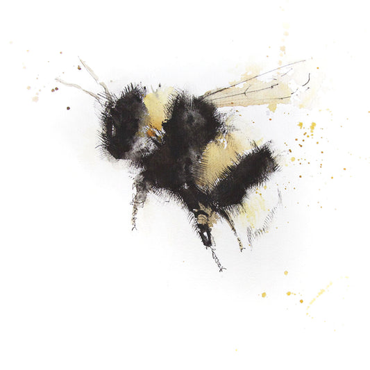 Signed print - Bumble bee - Jen Buckley Art limited edition animal art prints