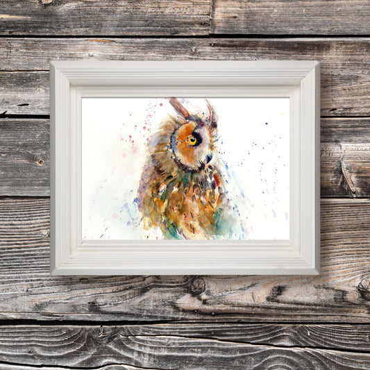 Long eared owl limited edition print. - Jen Buckley Art limited edition animal art prints