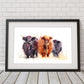 LIMITED EDITON PRINT 'Highland Cows' - Jen Buckley Art limited edition animal art prints