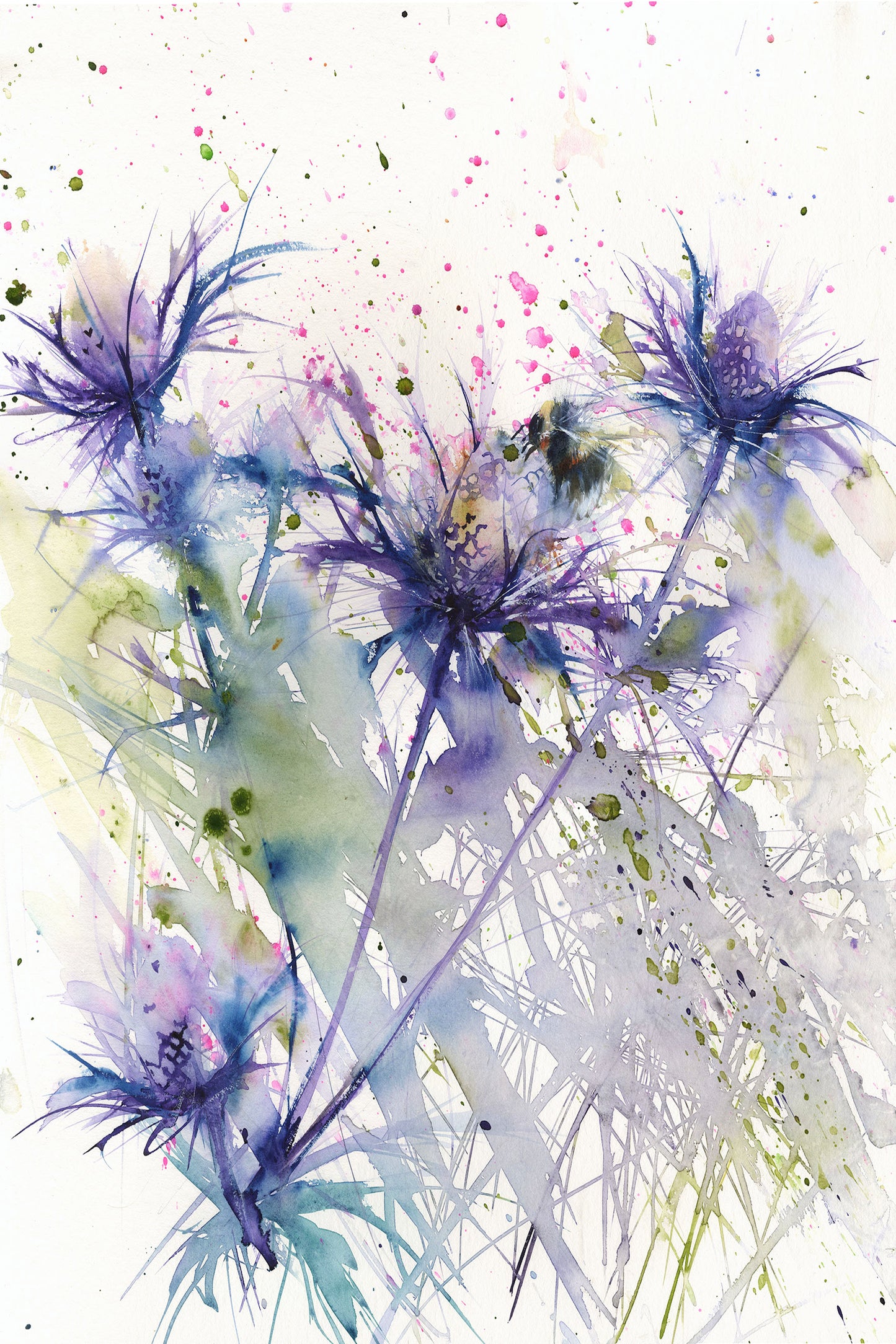 Contemporary  print from original watercolour Bumble bee on a sea holly - Jen Buckley Art limited edition animal art prints