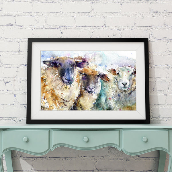 "Three ewes" Limited edition print sheep print