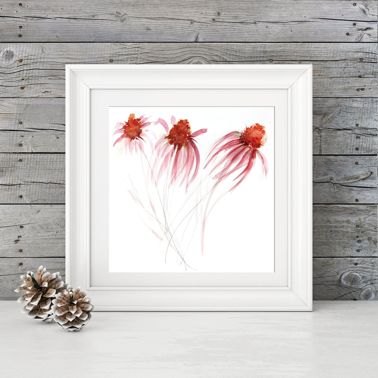 Contemporary floral art  print from original watercolour "Echinacea II" - Jen Buckley Art limited edition animal art prints