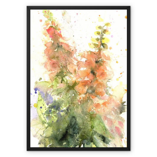 Peach foxgloves Framed Canvas - Jen Buckley Art limited edition animal art prints