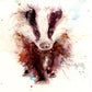 signed and numbered limited edition print - Badger - Jen Buckley Art limited edition animal art prints