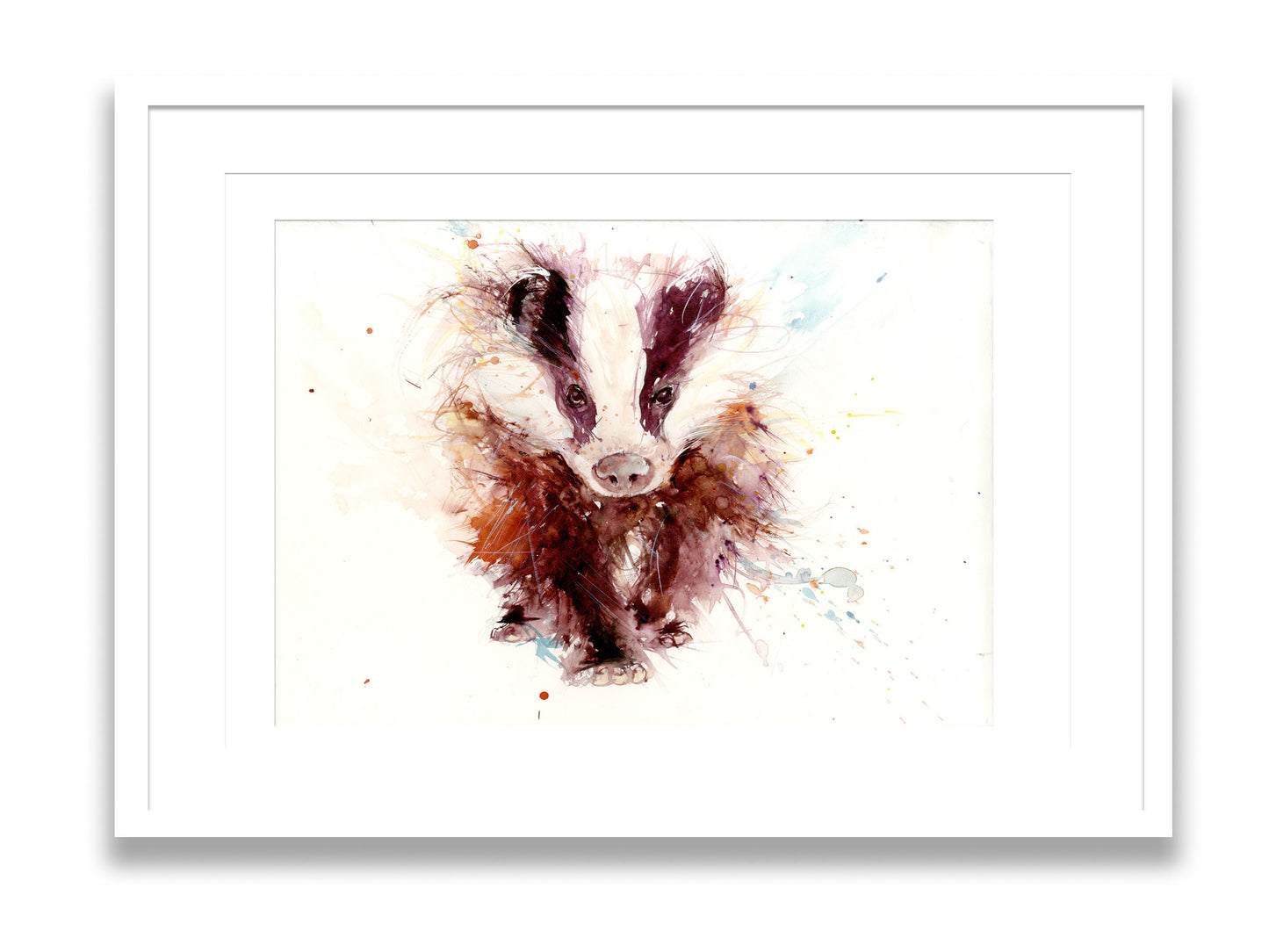 signed and numbered limited edition print - Badger - Jen Buckley Art limited edition animal art prints