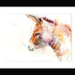 donkey watercolour by jen buckley