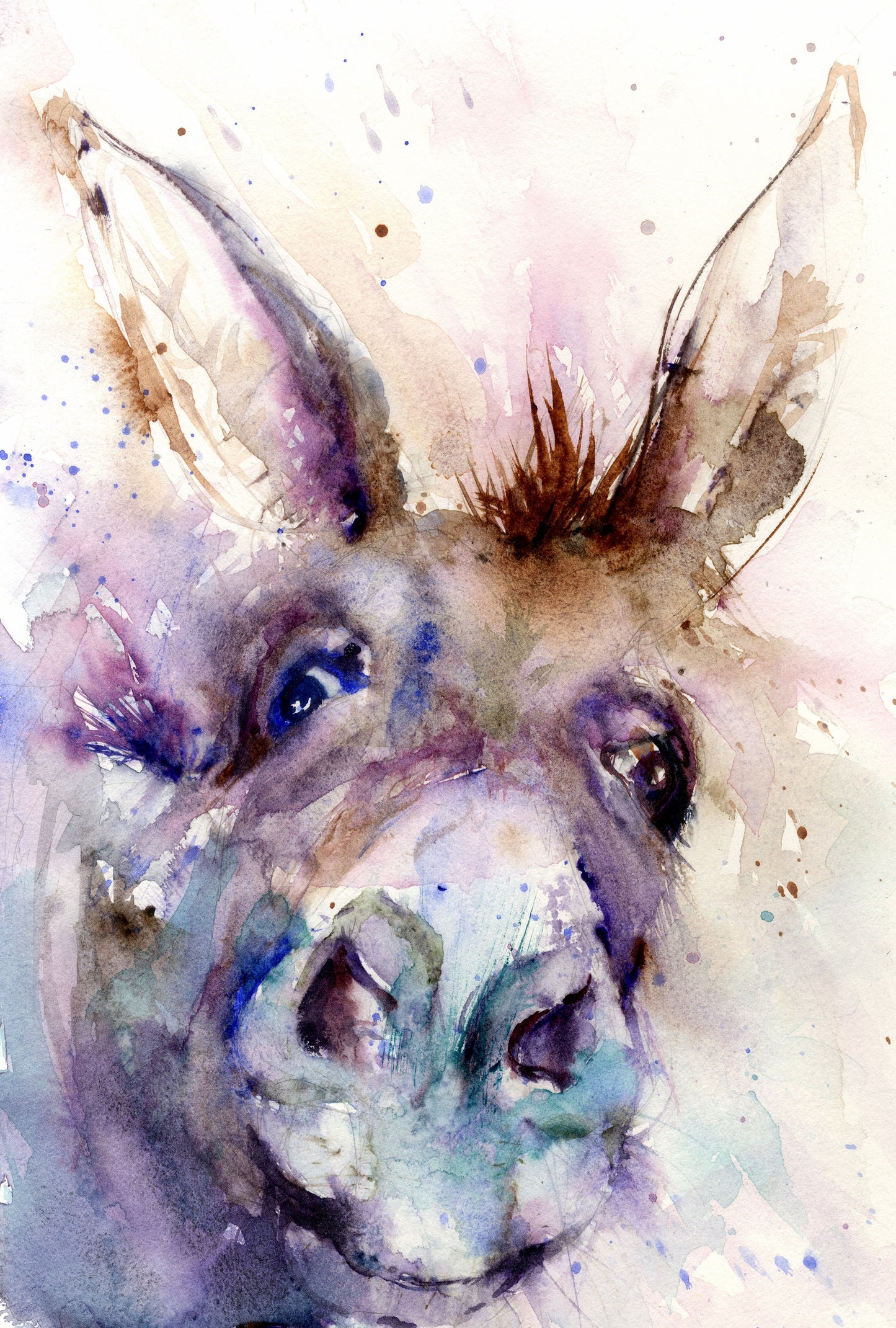 donkey watercolour animal art print by jen buckley