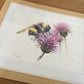 Frame and mount/matt for your print or painting - Jen Buckley Art limited edition animal art prints