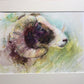 Original watercolour paintings - Studio clearance - Jen Buckley Art limited edition animal art prints