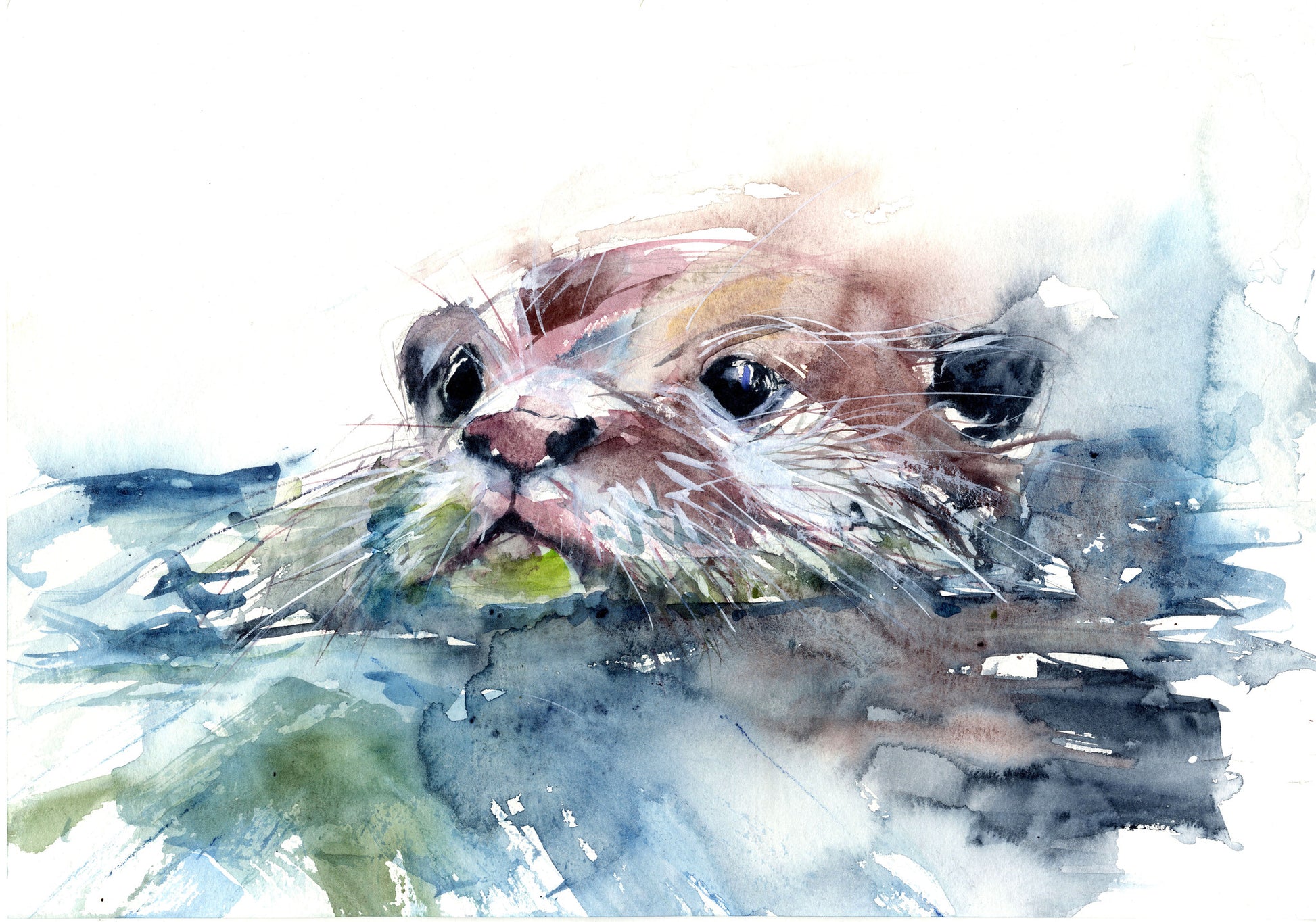 signed LIMITED EDITION PRINT of  original OTTER  painting    - Jen Buckley Art limited edition animal art prints