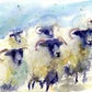 JEN BUCKLEY signed LIMITED EDITON PRINT of my original Swaledale SHEEP - Jen Buckley Art limited edition animal art prints