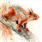 limited edition PRINT of my original RED SQUIRREL watercolour - Jen Buckley Art limited edition animal art prints
