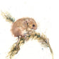 Original watercolour painting "Albert" fieldmouse on an ear of corn