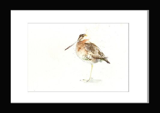 Jen buckley woodcock bird original watercolour painting