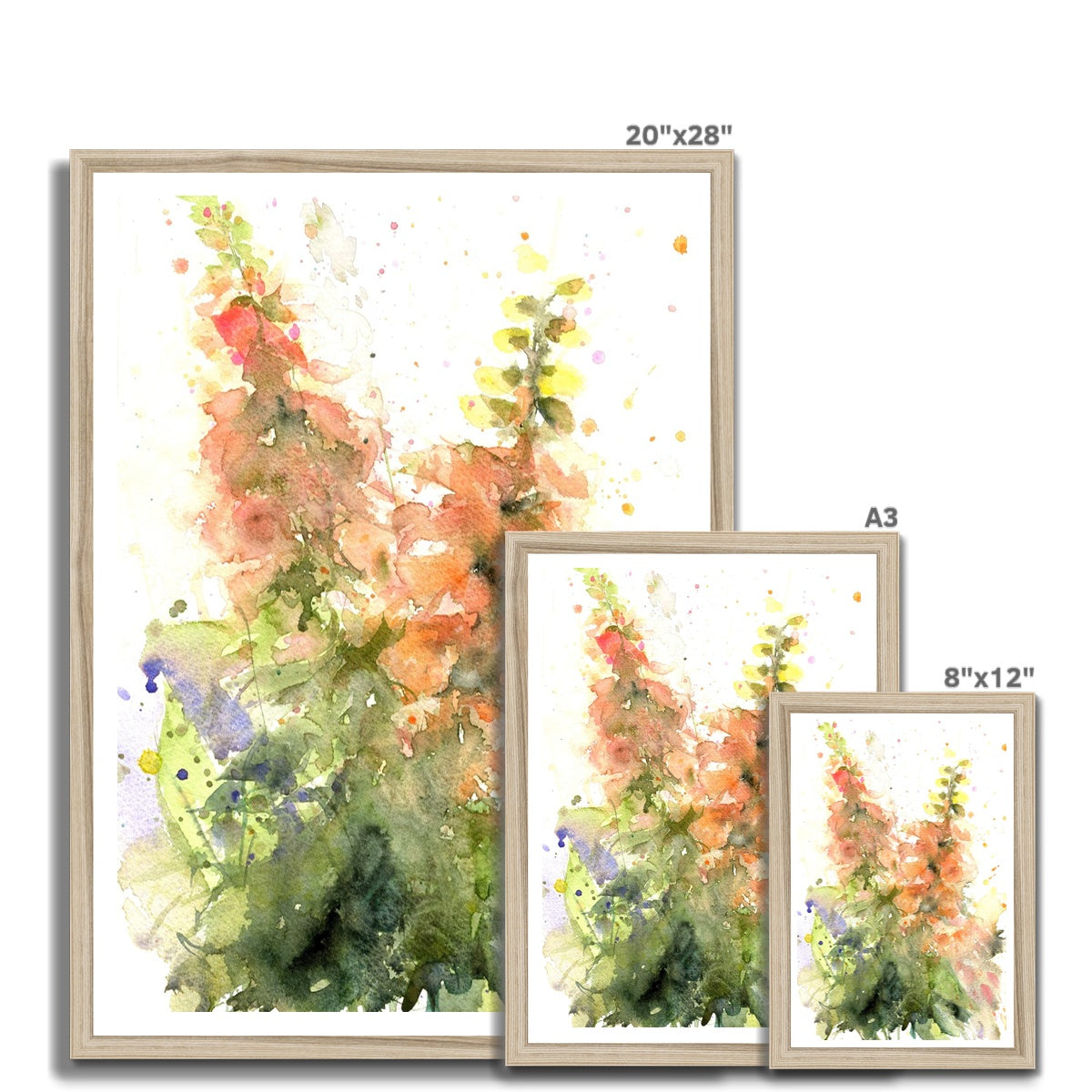 Peach foxgloves Framed Print - Jen Buckley Art limited edition animal art prints